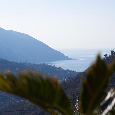 Villa Le Macine Molino Nuovo  Екстериор снимка